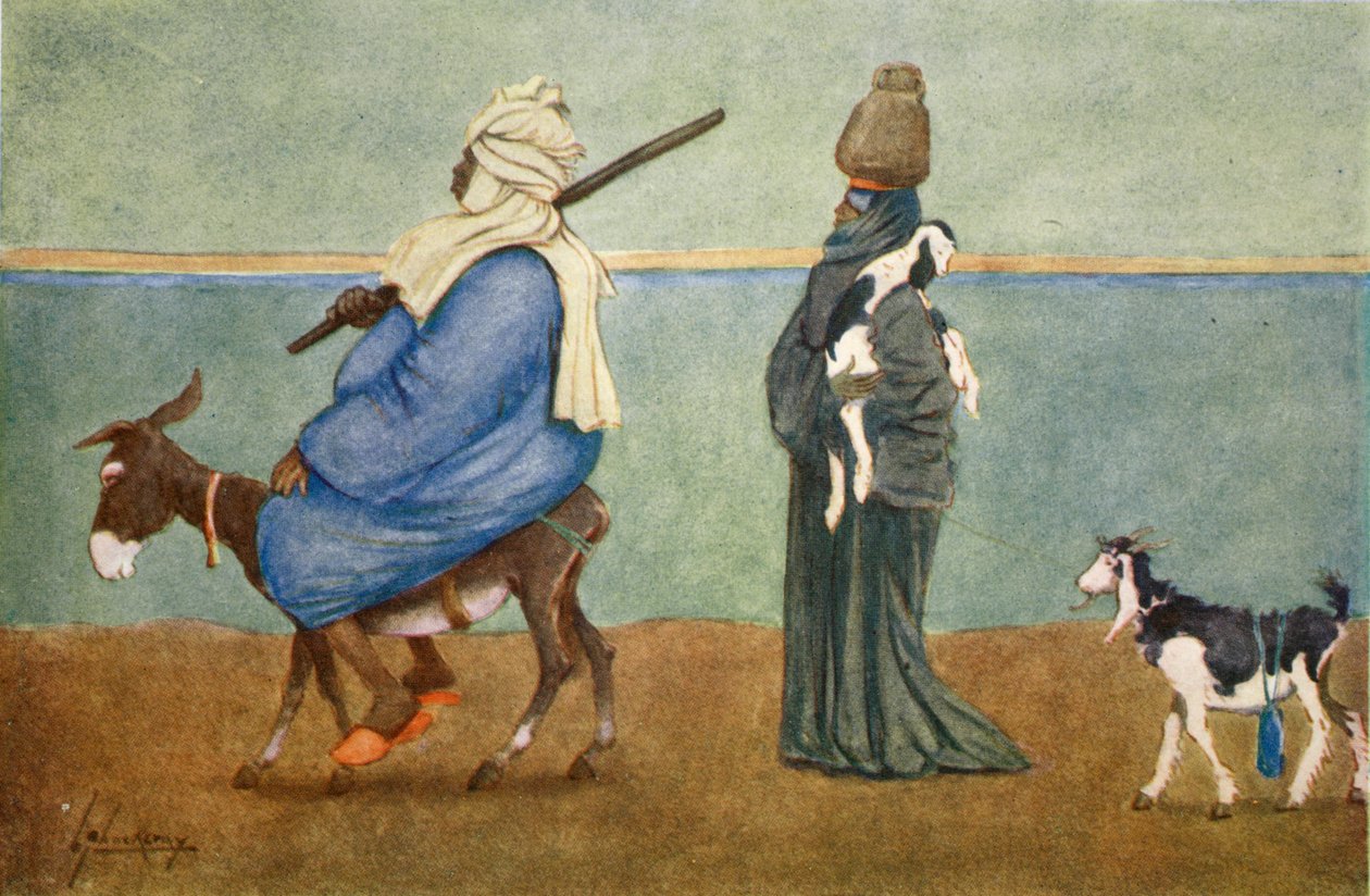 "Mısır