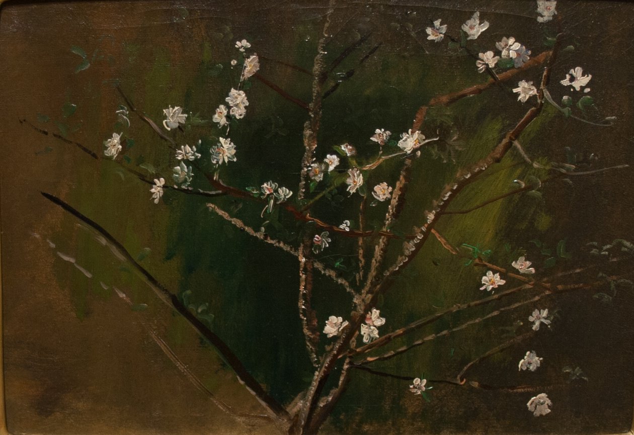 BlossomingnMagyar: Viragzasn by Laszlo Mednyanszky