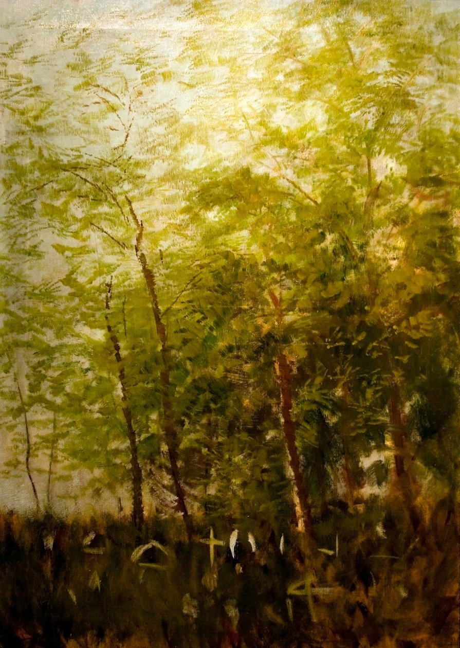 Erdoszele sirkeresztekkelnİngilizce: Fringe_of_Forest_with_Crosesn by Laszlo Mednyanszky