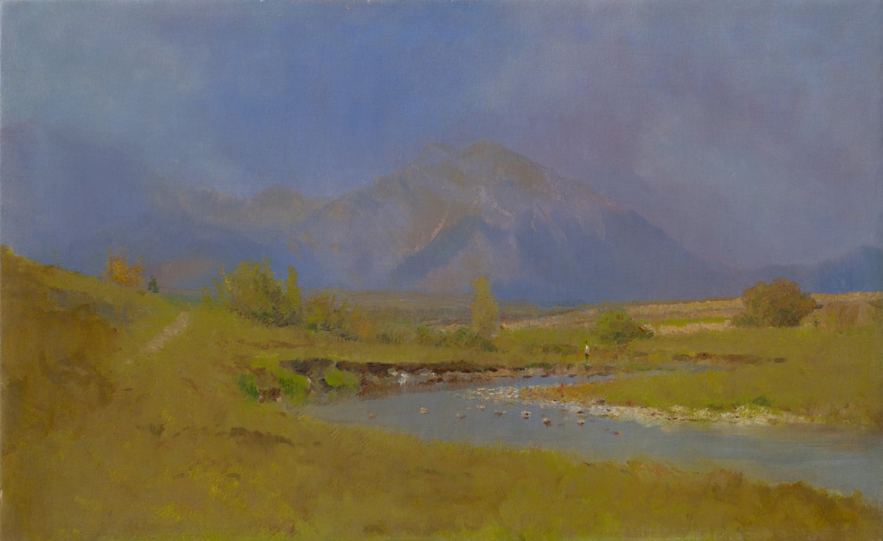 İlkbahar yağmurundan sonra Podtatranská manzarası, 1878-79 by Laszlo Mednyanszky