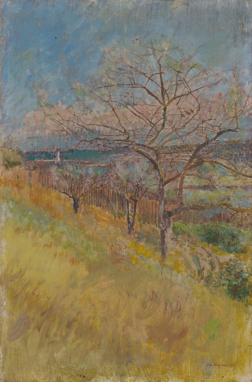 Ağaçların açıldığı vadi, 1890-1900 by Laszlo Mednyanszky