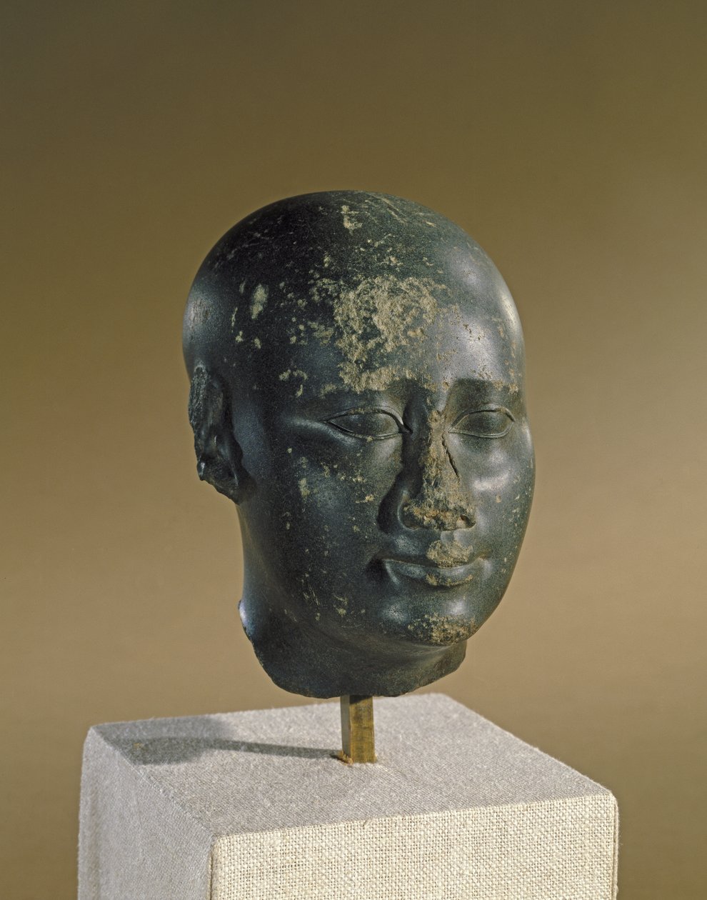 Oval kafatası olan bir adamın başı (bazalt) by Late Period Egyptian