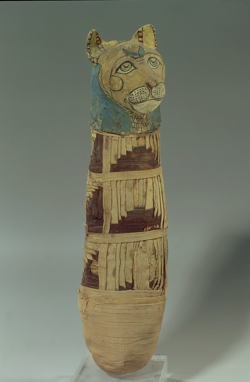 ರಕ್ಷಿತ ಬೆಕ್ಕು (ಗಾರೆ ಮತ್ತು ಬಣ್ಣದ ಲಿನಿನ್) ಟರ್ಕಿ by Late Period Egyptian