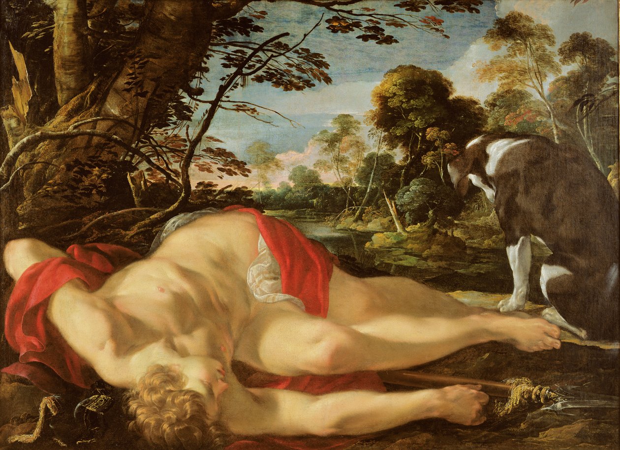 Ölü Adonis, c.1624-28 by Laurent de la Hyre