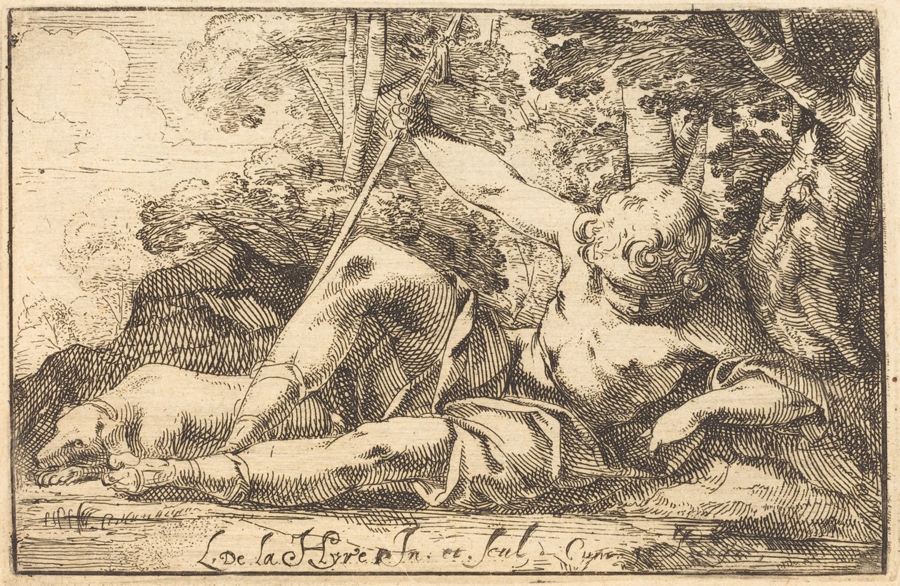 Baharda Nergis by Laurent de la Hyre
