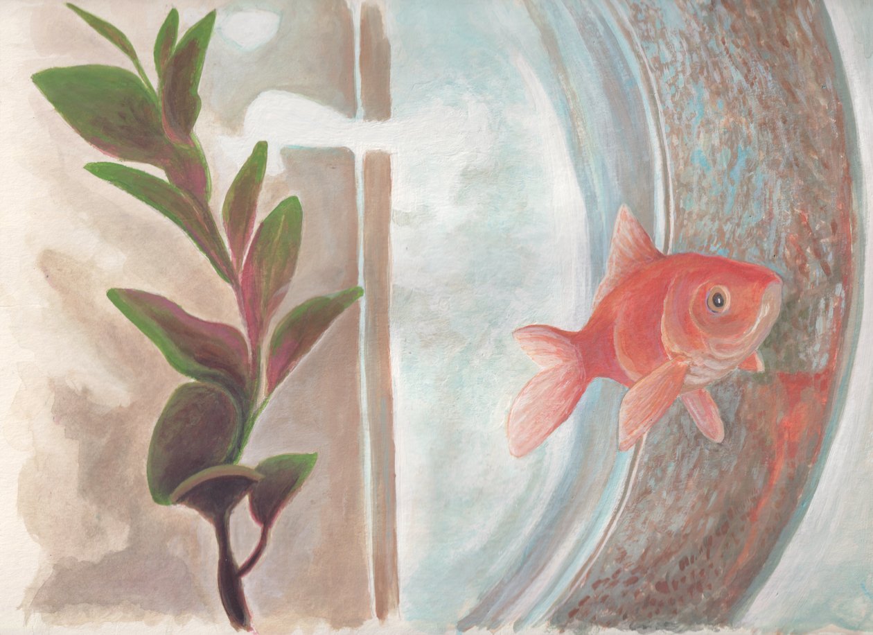 Daisy, c.2016 (suluboya kağıdı üzerine akrilik) by Laurie Michaels