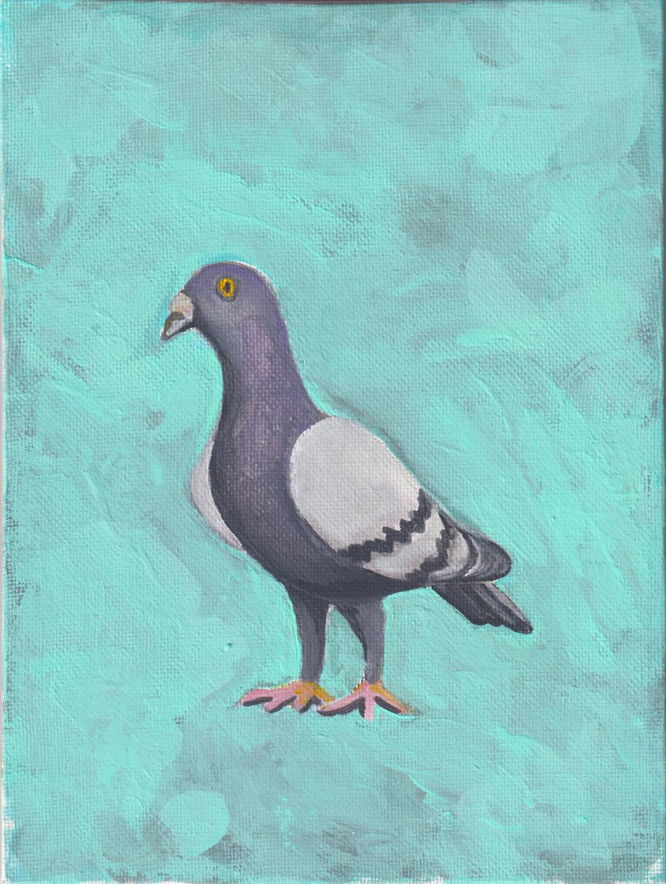 Güvercin c.2023 (tuval üzerine akrilik) by Laurie Michaels
