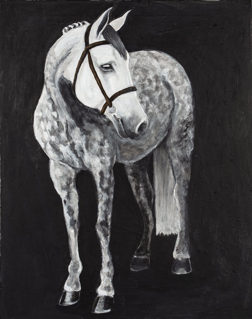 Beyaz At 2, c.2024 (tuval üzerine akrilik) by Laurie Michaels
