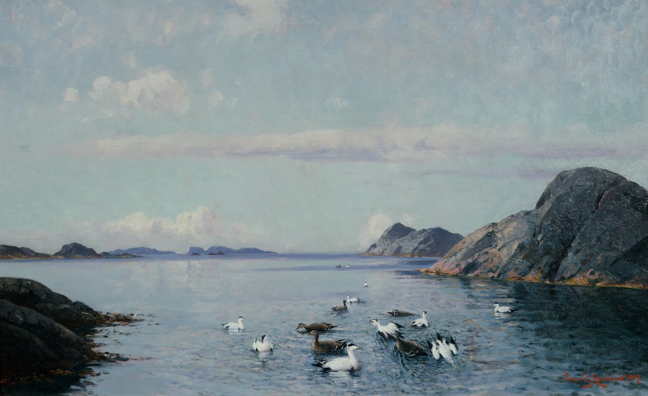 Deniz kuşları ile güney sahili by Lauritz Haaland