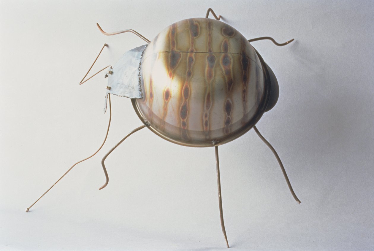 Yer Böceği, 1995 (metal) by Lawrie Simonson