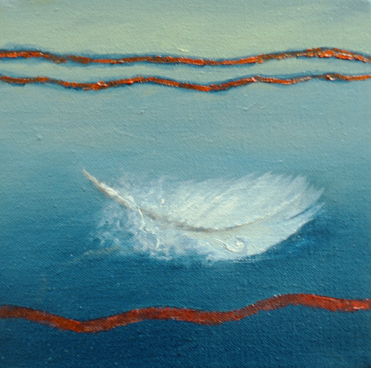 Yüzen, 2001 Tüy by Lee Campbell