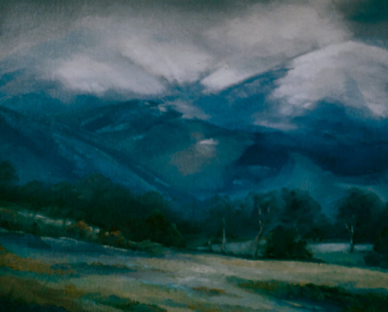 2006 by Lee Campbell