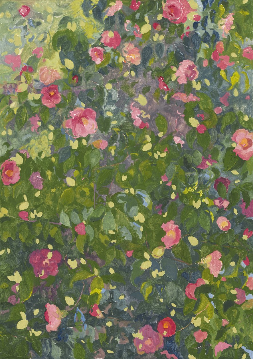 ಕ್ಯಾಮೆಲಿಯಾ ಇನ್ ಫ್ಲವರ್, 2014 ಟರ್ಕ್ by Leigh Glover
