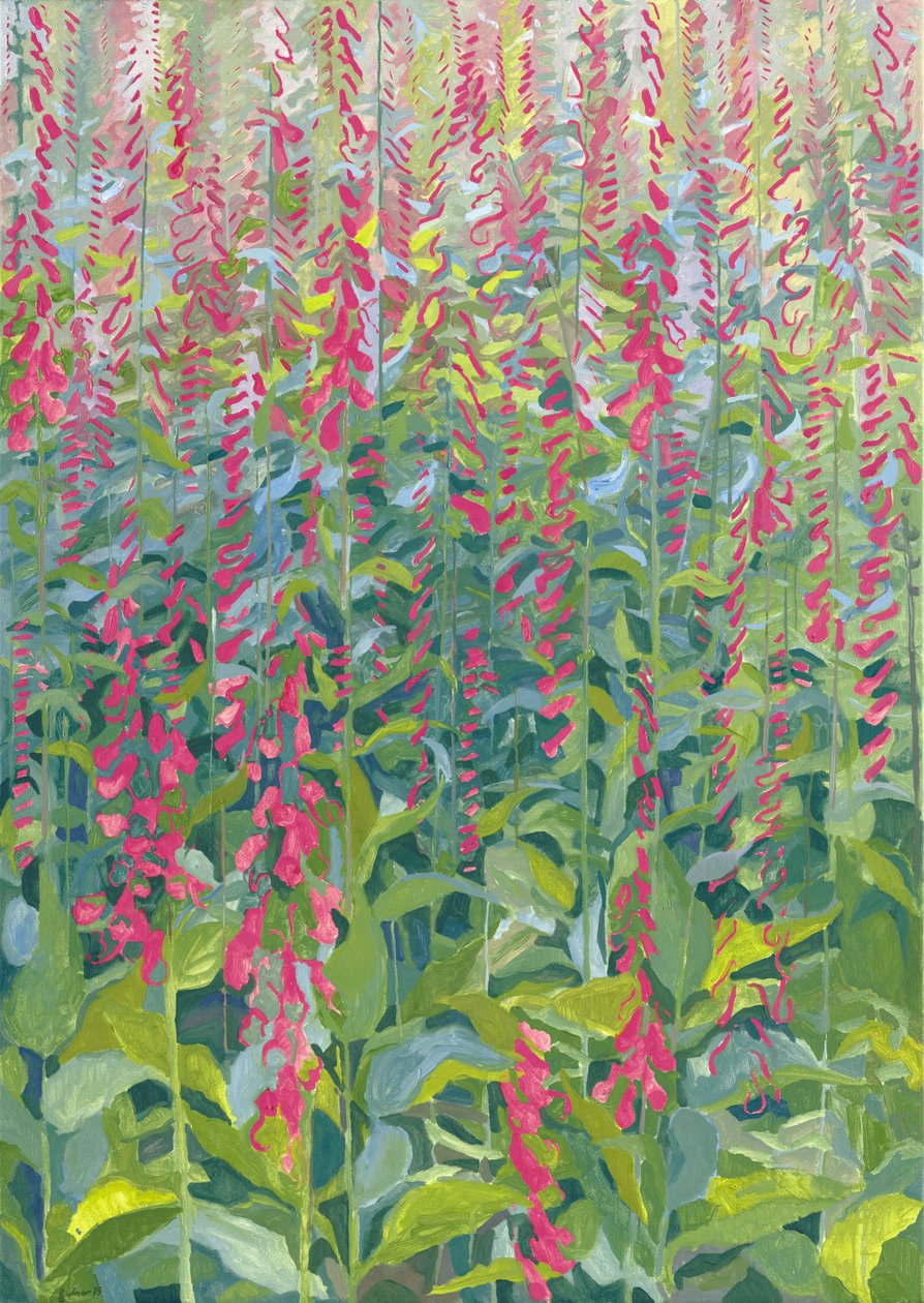 yüksük eldiveni, 2014 by Leigh Glover