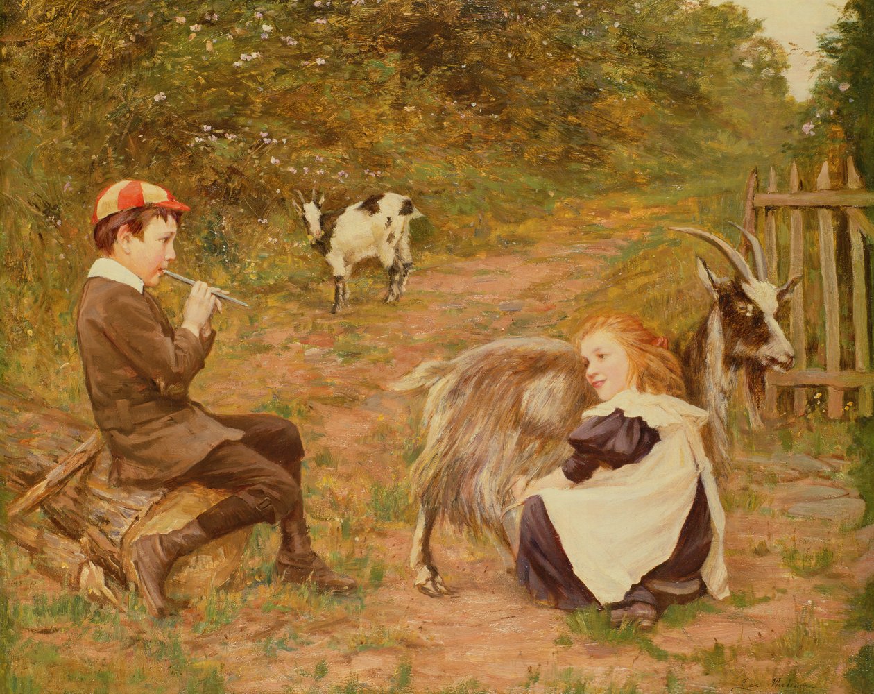 keçi sağım by Leo Malempre