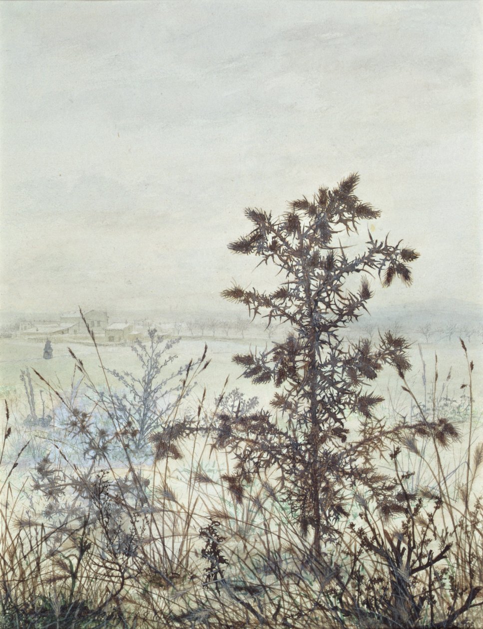 Thistles and Weeds, 1864 (wc, gövde rengi, kağıt üzerinde kalem ve mürekkep ve kurşun kalem) by Léon Bonvin
