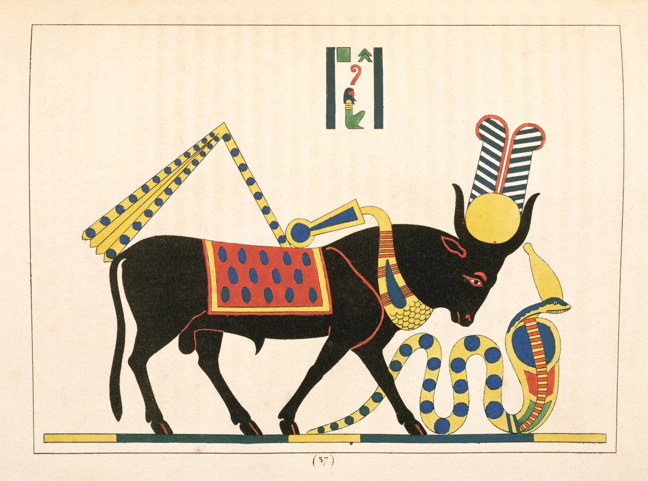 Apis boğası, Mısır Panteon