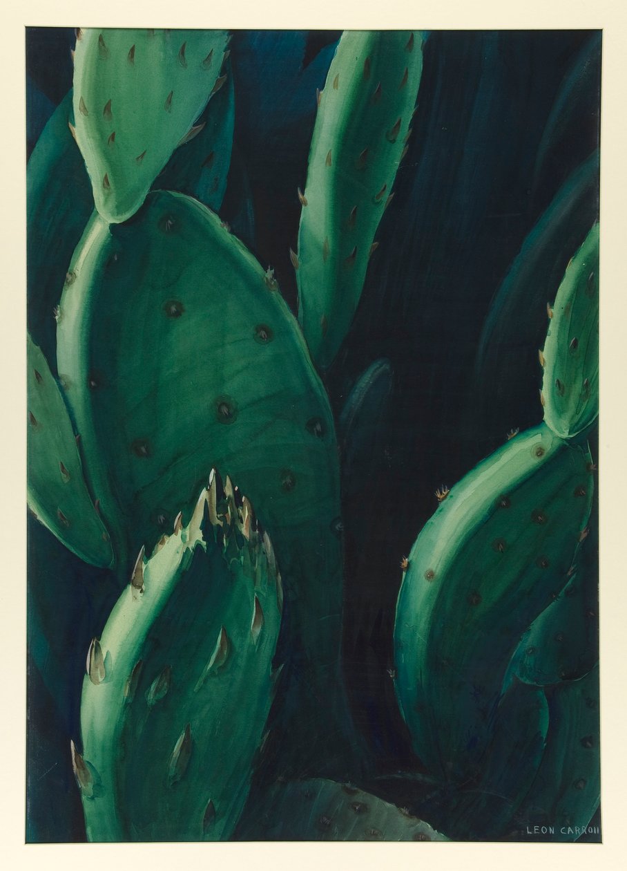 Zümrüt(Kaktüs) by Leon Carroll