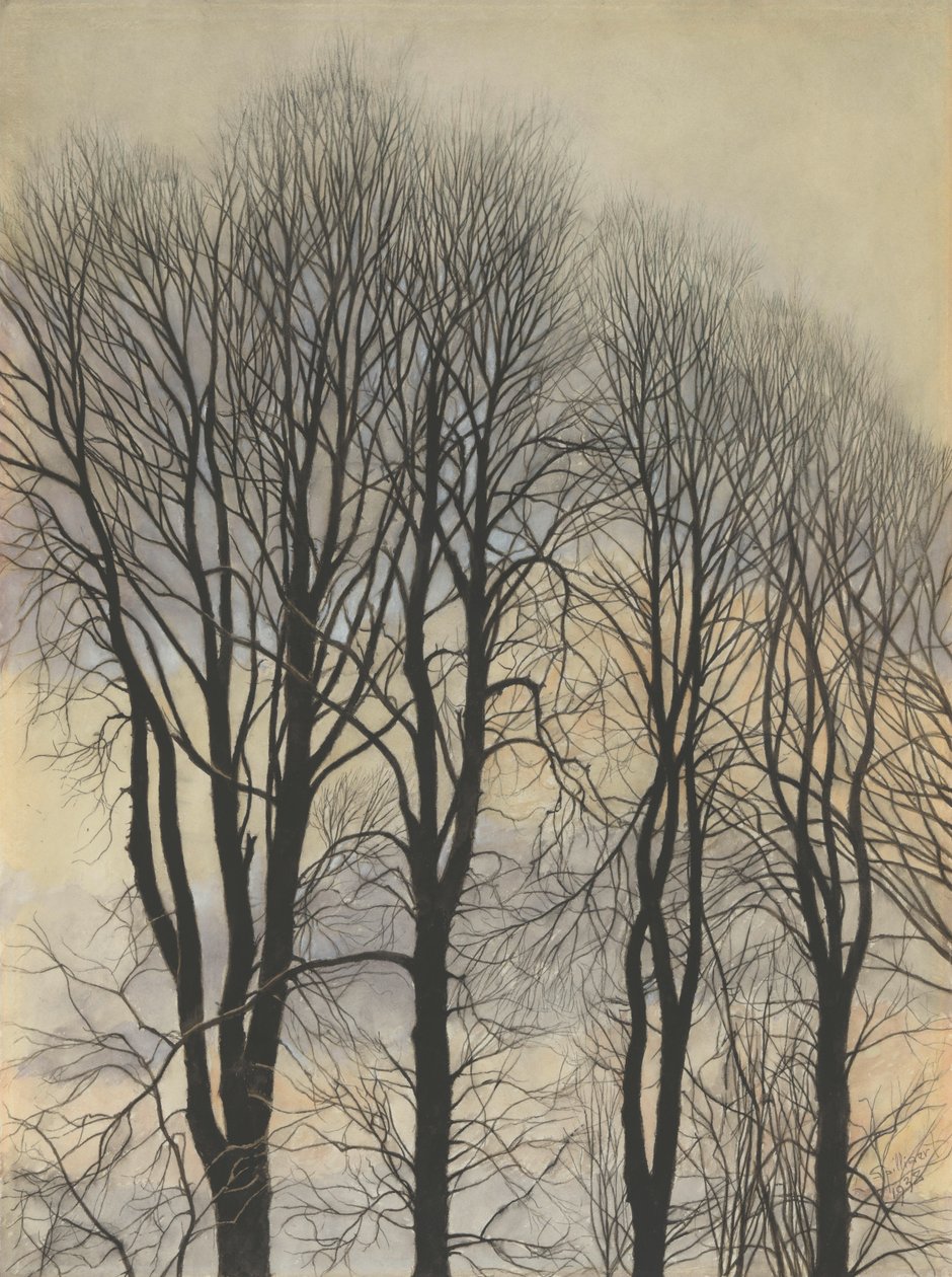 Gökyüzündeki ağaç by Leon Spilliaert