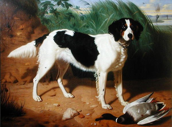 Bir Köpeğin Portresi (tuval üzerine yağlı boya) by Leon Viardot