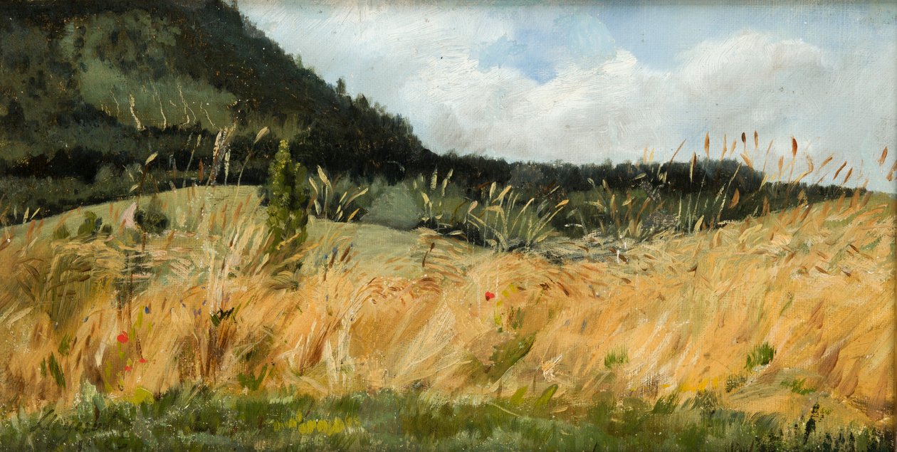 mısır tarlası by Leon Wyczolkowski