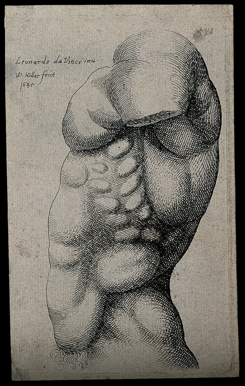 Kolsuz bir erkek gövde by Leonardo da Vinci