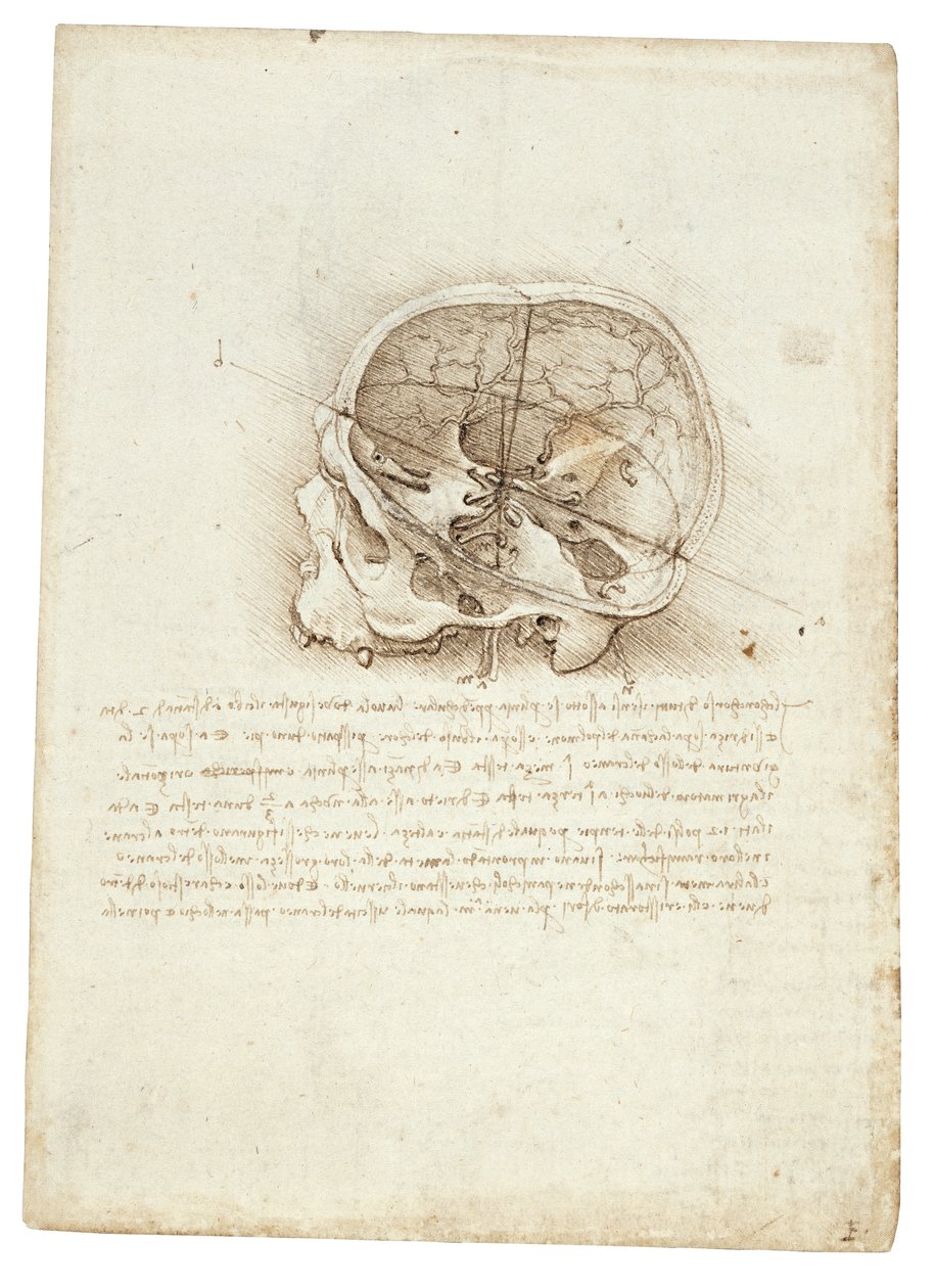Leonardo Da Vinci