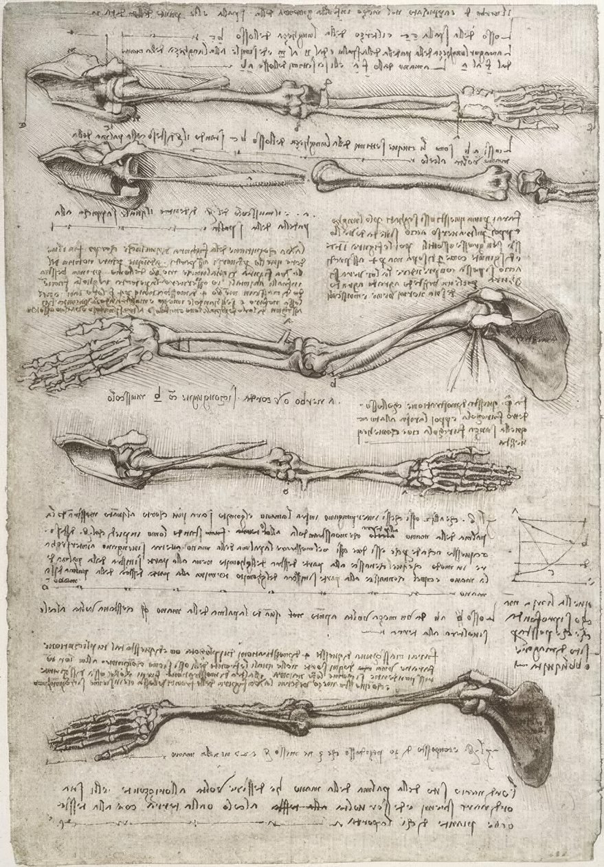anatomi eğitimi by Leonardo da Vinci