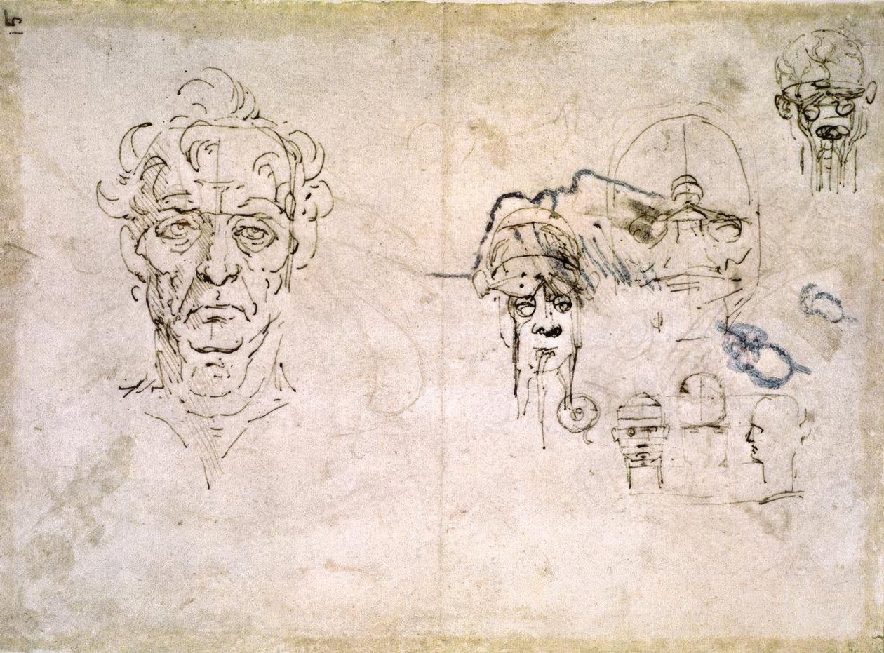 anatomi eğitimi by Leonardo da Vinci