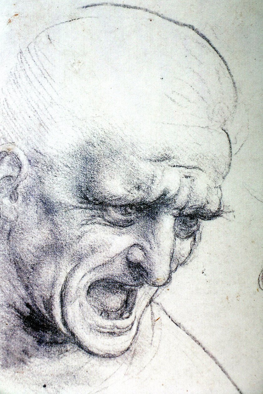 Anghiarischlacht by Leonardo da Vinci