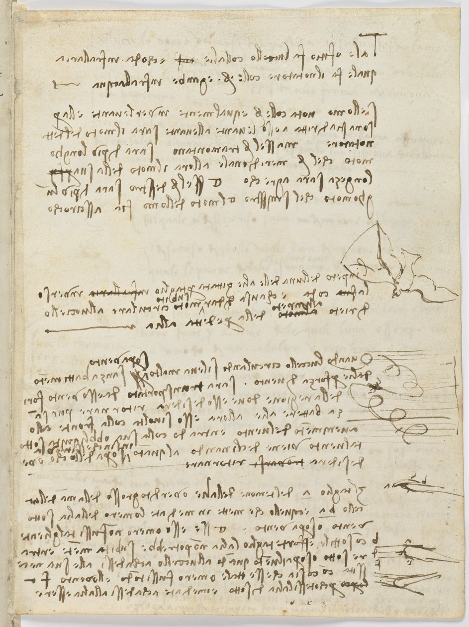 Kuşlar Uçuş Kodu, c. 1505-06, kağıt el yazması, cc. 18, sayfa 10 recto by Leonardo da Vinci