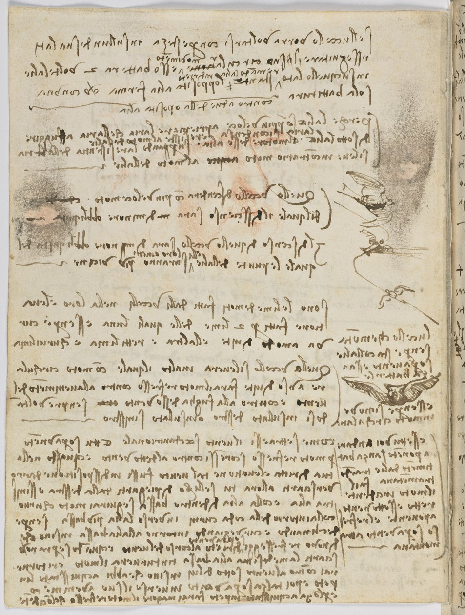 Kuşlar Uçuş Kodu, c. 1505-06, kağıt el yazması, cc. 18, sayfa 10 tersi by Leonardo da Vinci