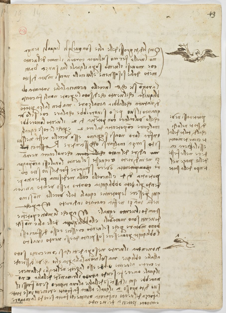 Kuşlar Uçuş Kodu, c. 1505-06, kağıt el yazması, cc. 18, sayfa 13 recto by Leonardo da Vinci