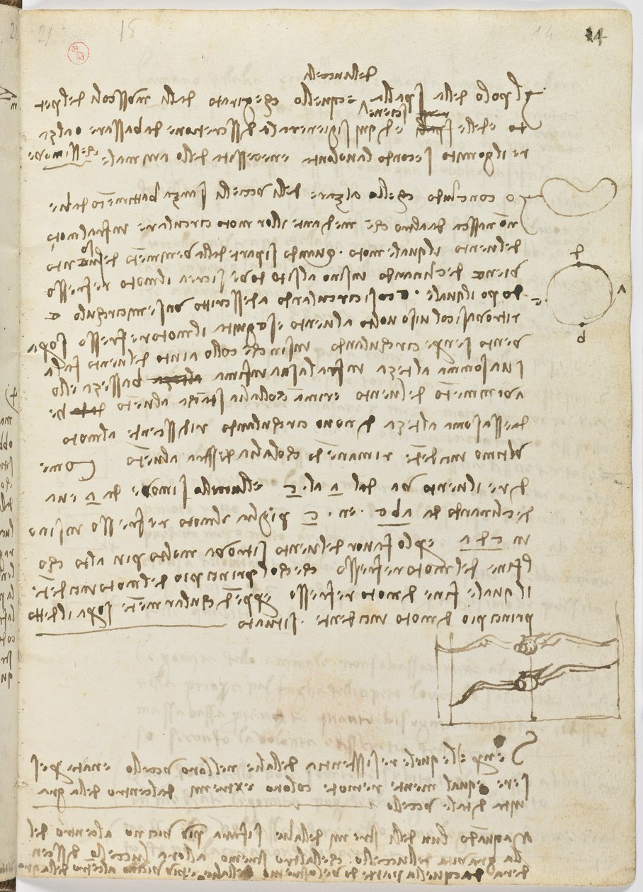 Kuşlar Uçuş Kodu, c. 1505-06, kağıt el yazması, cc. 18, sayfa 14 recto by Leonardo da Vinci