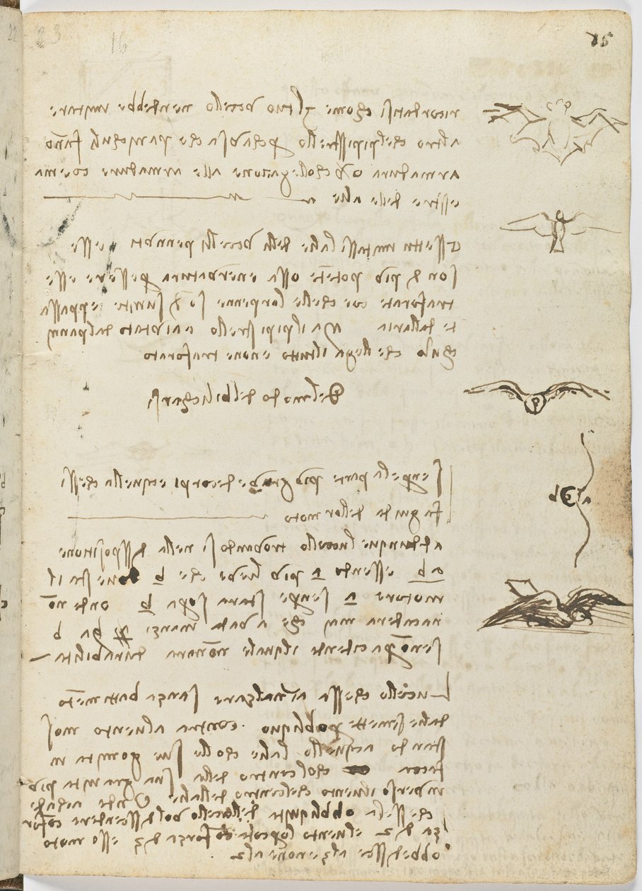 Kuşlar Uçuş Kodu, c. 1505-06, kağıt el yazması, cc. 18, sayfa 15 recto by Leonardo da Vinci