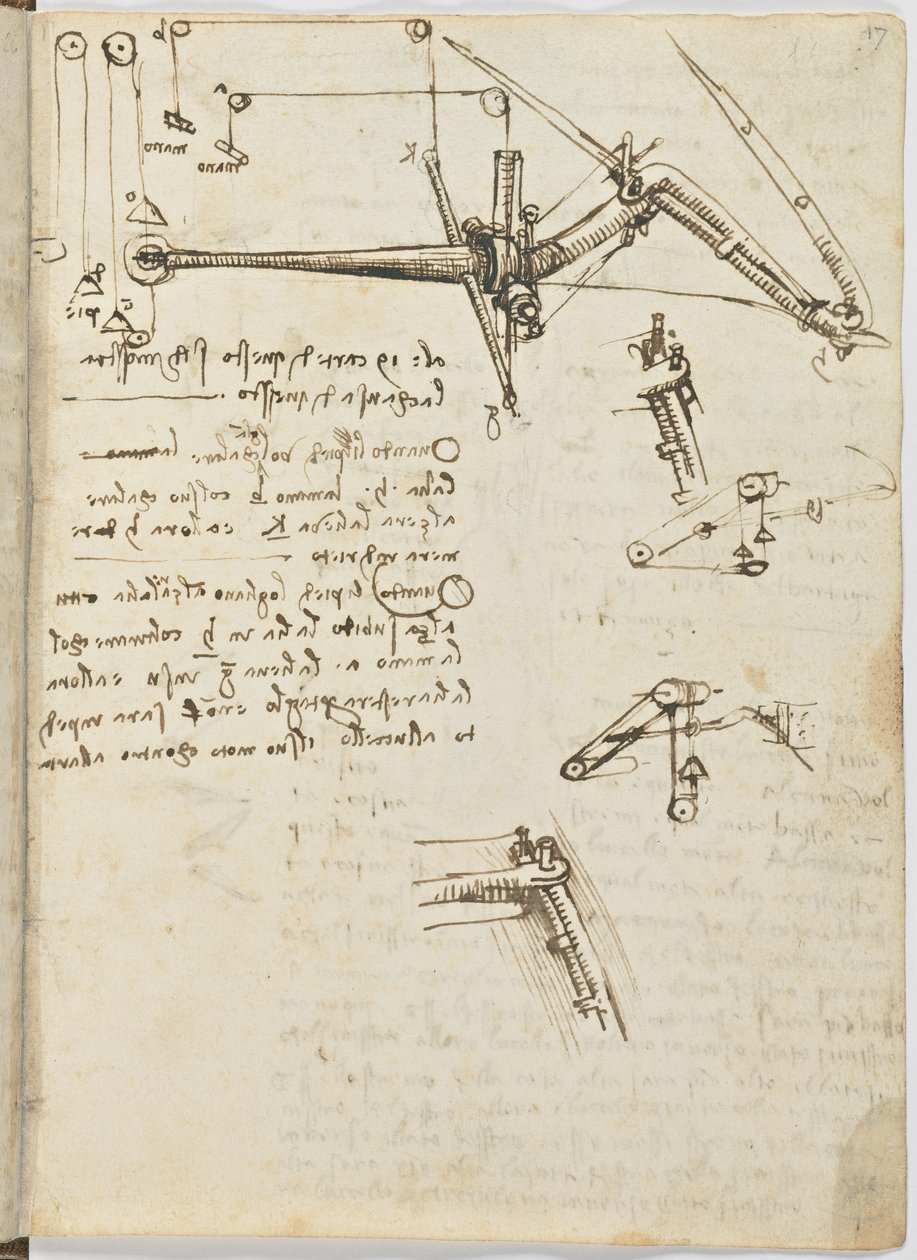Kuşlar Uçuş Kodu, c. 1505-06, kağıt el yazması, cc. 18, sayfa 17 recto by Leonardo da Vinci