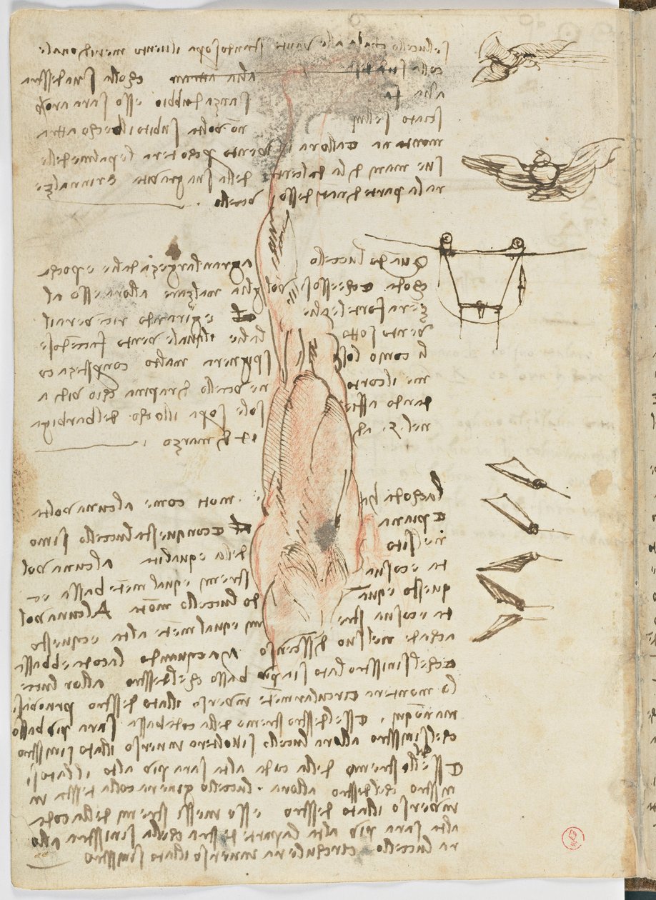 Kuşlar Uçuş Kodu, c. 1505-06, kağıt el yazması, cc. 18, sayfa 17 tersi by Leonardo da Vinci