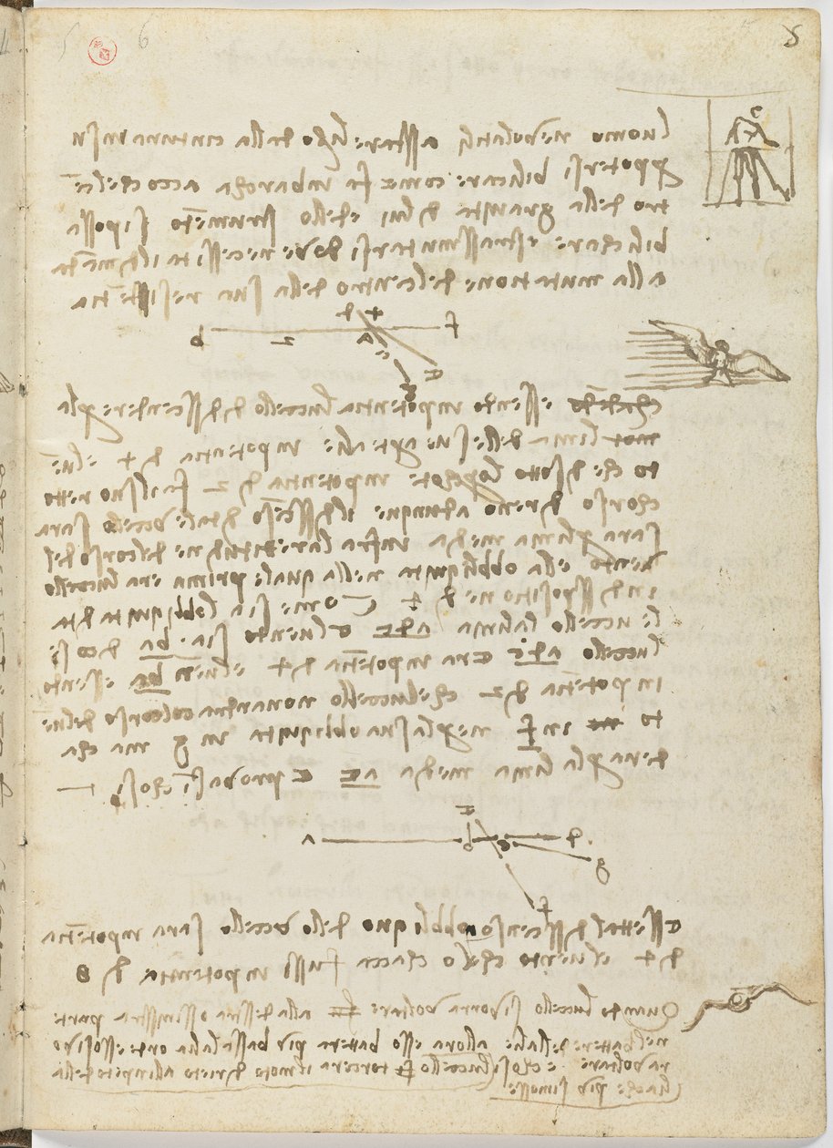 Kuşlar Uçuş Kodu, c. 1505-06, kağıt el yazması, cc. 18, sayfa 5 recto by Leonardo da Vinci