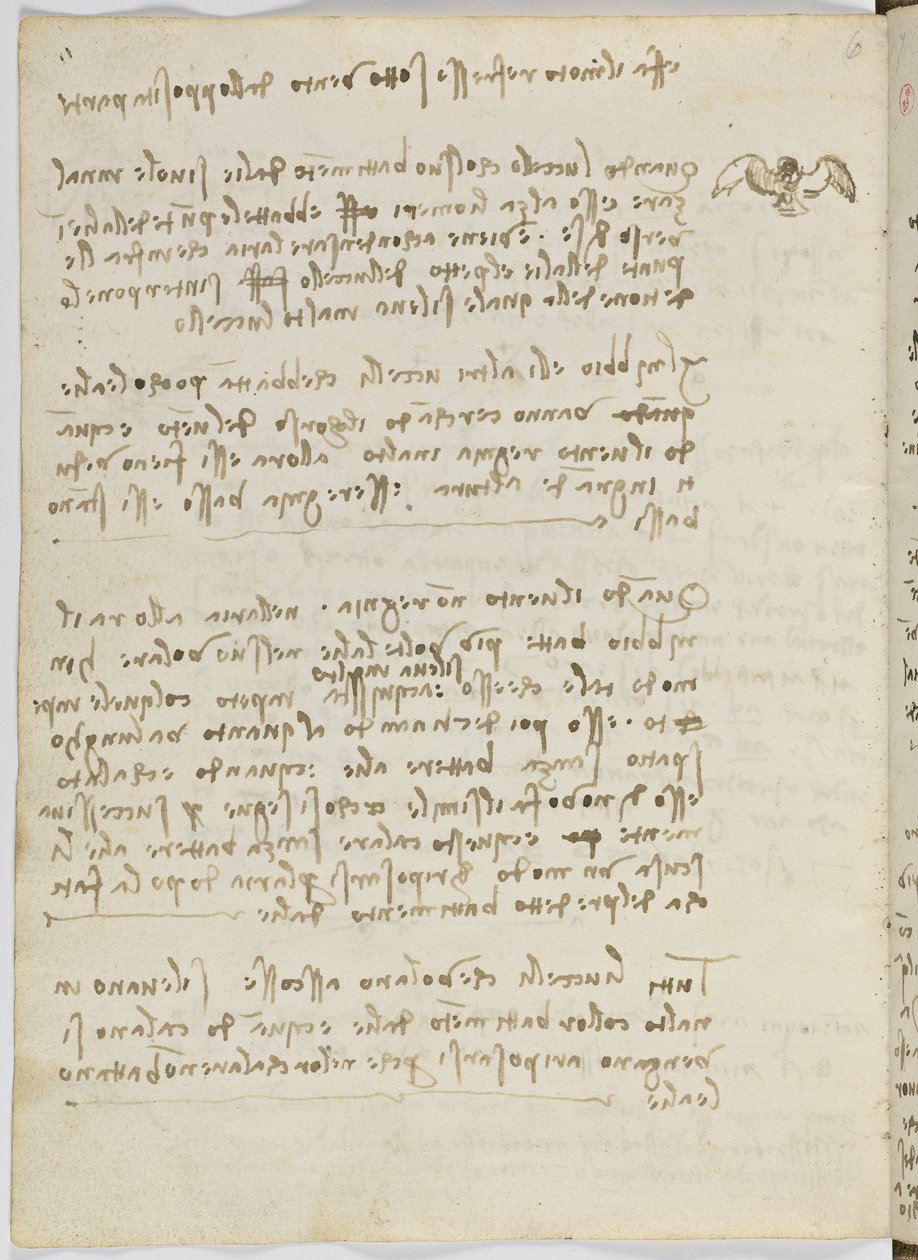 Kuşlar Uçuş Kodu, c. 1505-06, kağıt el yazması, cc. 18, sayfa 5 verso by Leonardo da Vinci