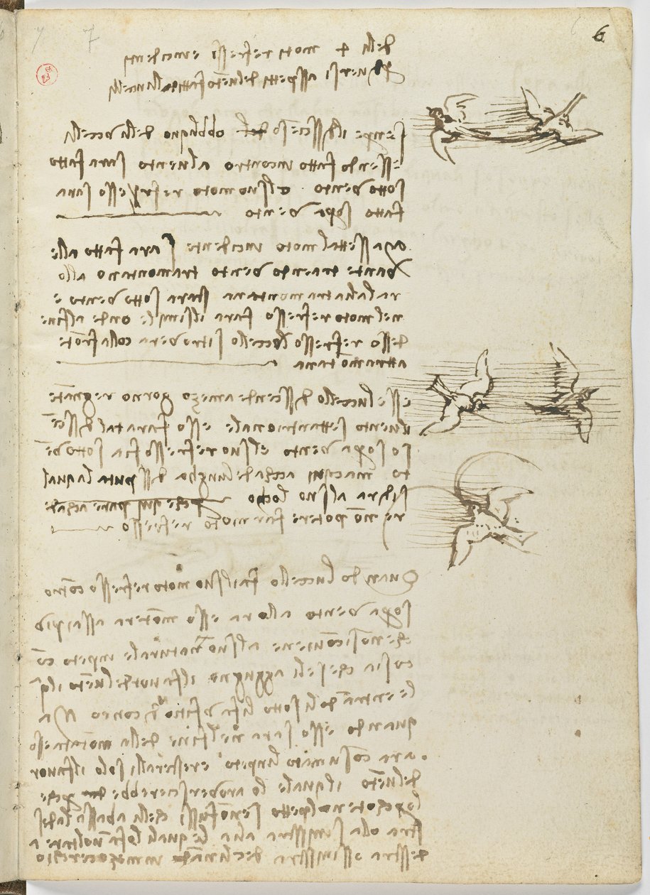 Kuşlar Uçuş Kodu, c. 1505-06, kağıt el yazması, cc. 18, sayfa 6 recto by Leonardo da Vinci
