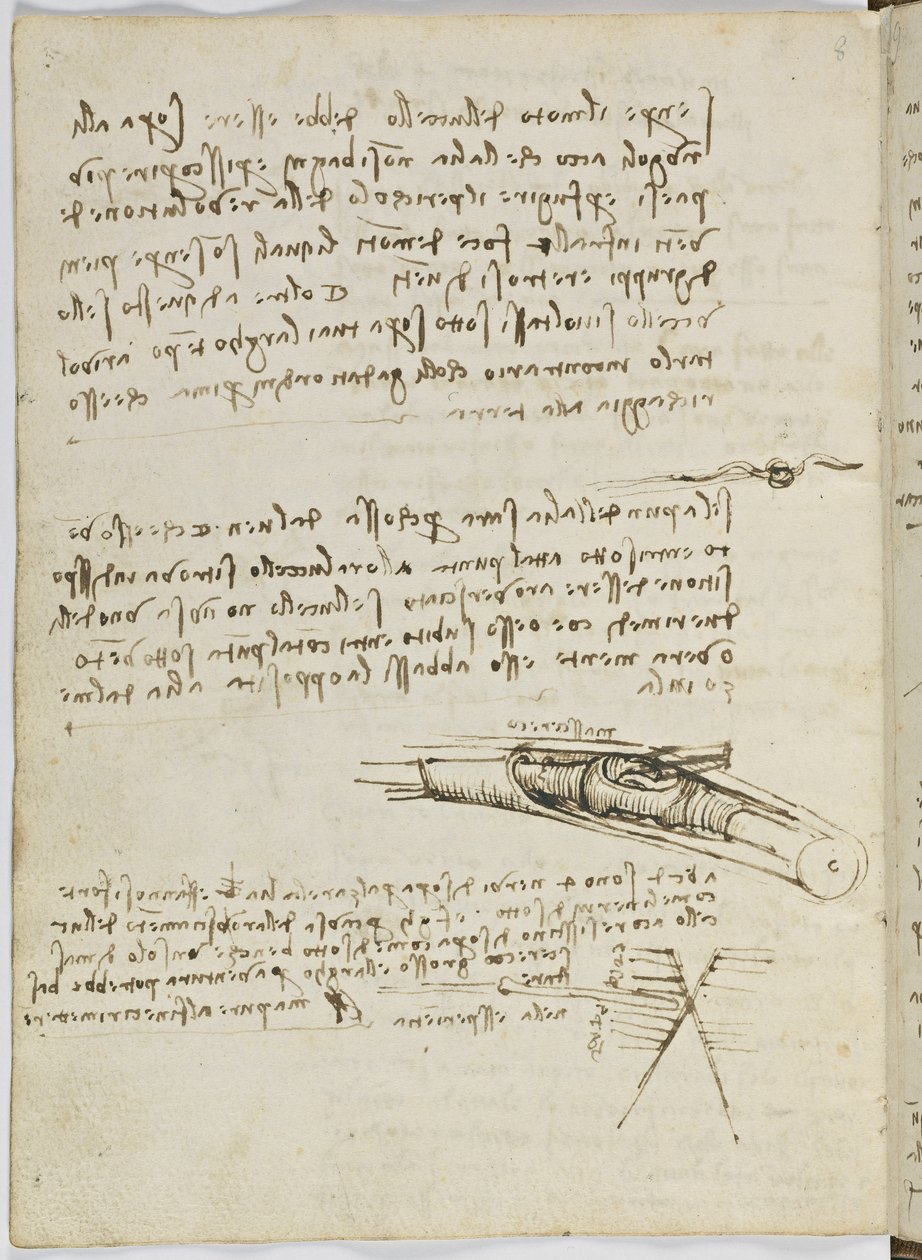 Kuşlar Uçuş Kodu, c. 1505-06, kağıt el yazması, cc. 18, sayfa 6 tersi by Leonardo da Vinci