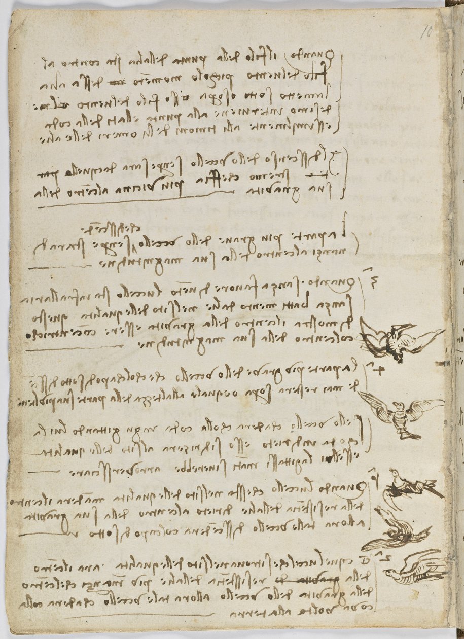 Kuşlar Uçuş Kodu, c. 1505-06, kağıt el yazması, cc. 18, sayfa 7 tersi by Leonardo da Vinci