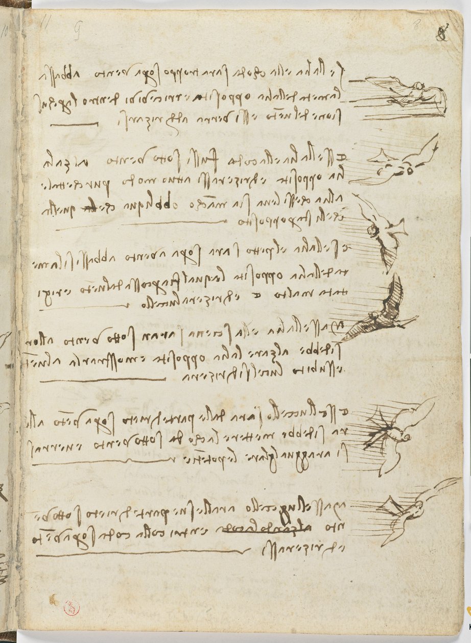 Kuşlar Uçuş Kodu, c. 1505-06, kağıt el yazması, cc. 18, sayfa 8 recto by Leonardo da Vinci