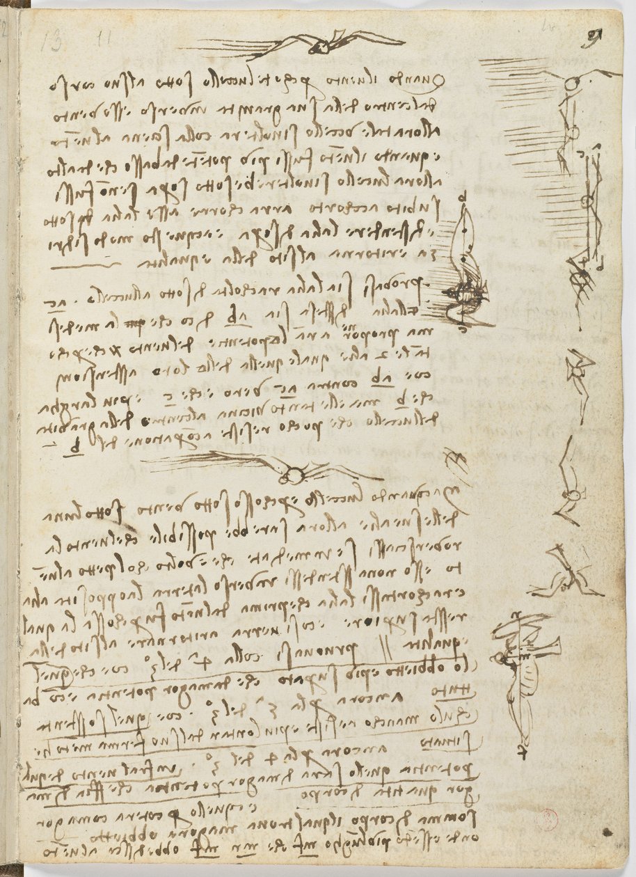Kuşlar Uçuş Kodu, c. 1505-06, kağıt el yazması, cc. 18, sayfa 9 recto by Leonardo da Vinci