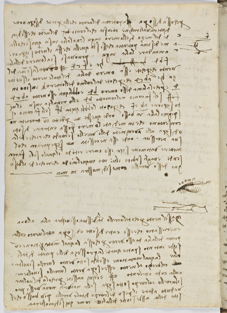 Kuşlar Uçuş Kodu, c. 1505-06, kağıt el yazması, cc. 18, sayfa 9 tersi by Leonardo da Vinci