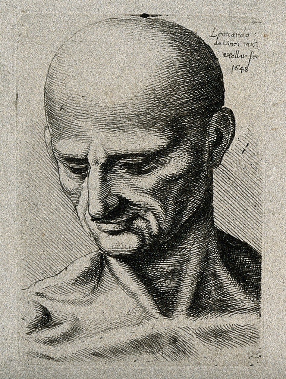 Sağ alt tarafına bakan zayıf bir erkek büstü by Leonardo da Vinci