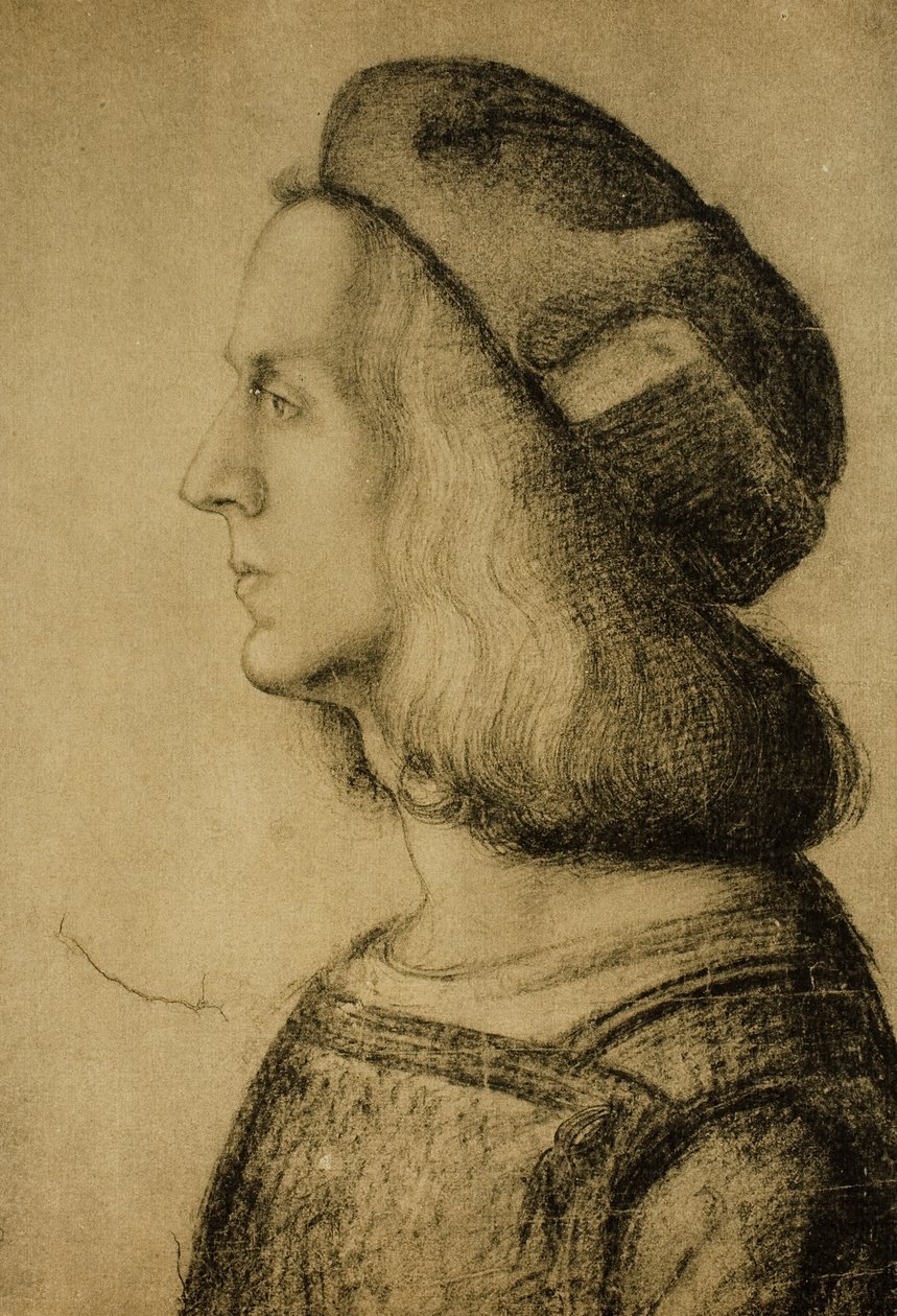 Profilden bir adamın büstü, Leonardo da Vinci