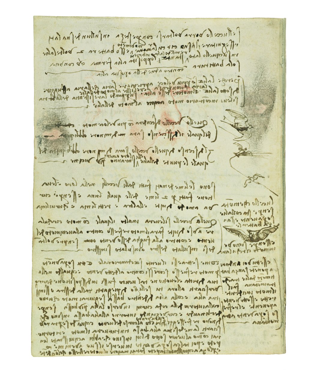 Kuşların uçuşuyla ilgili kodeks, Folio 10 verso by Leonardo da Vinci
