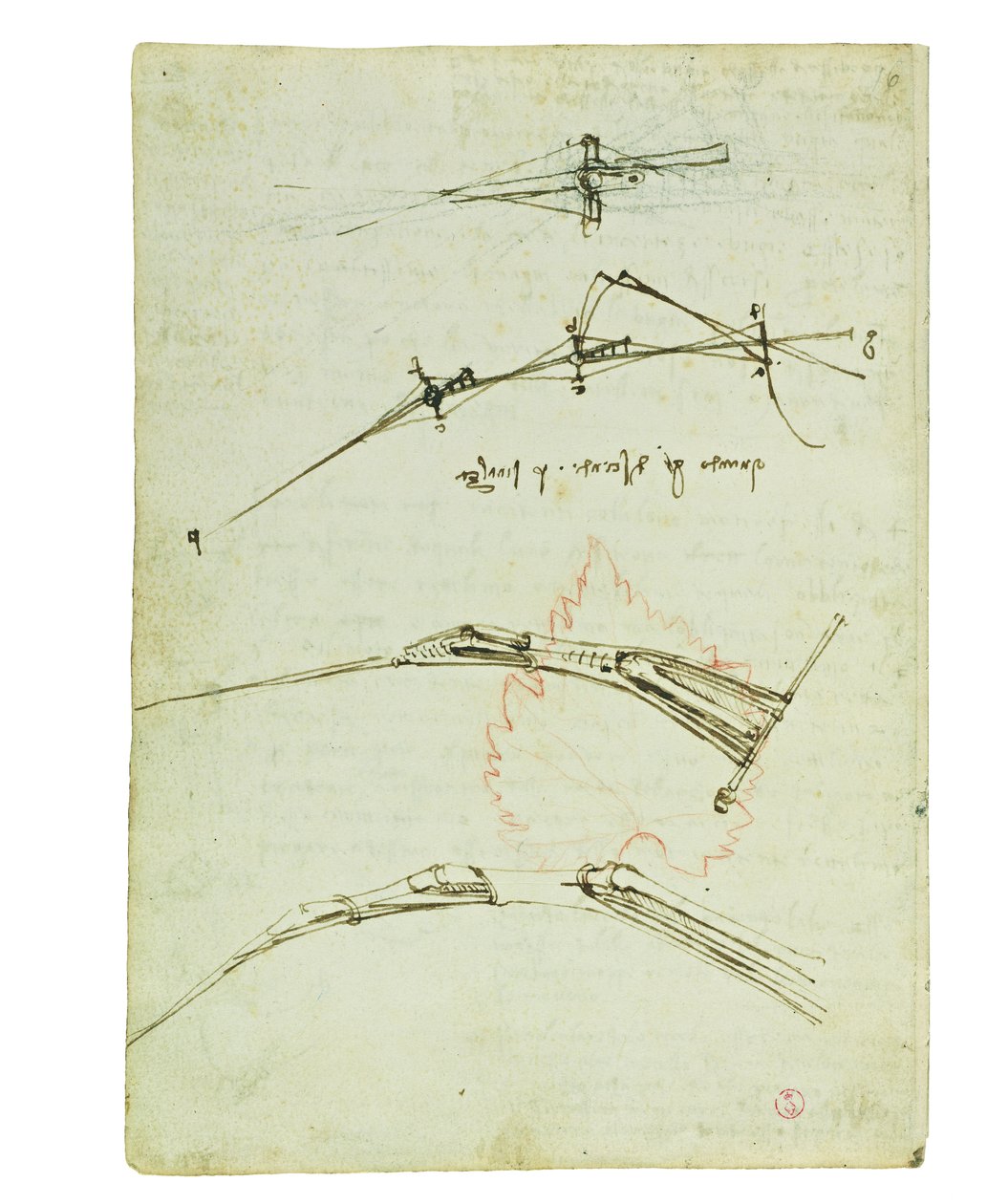 Kuşların uçuşuna ilişkin kodeks, Folio 11 verso by Leonardo da Vinci