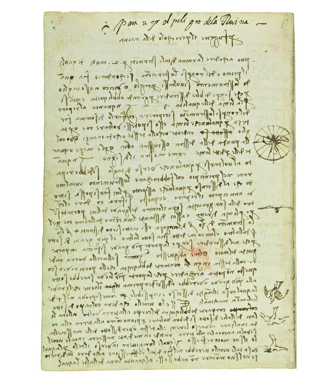 Kuşların uçuşuyla ilgili kodeks, Folio 12 verso by Leonardo da Vinci